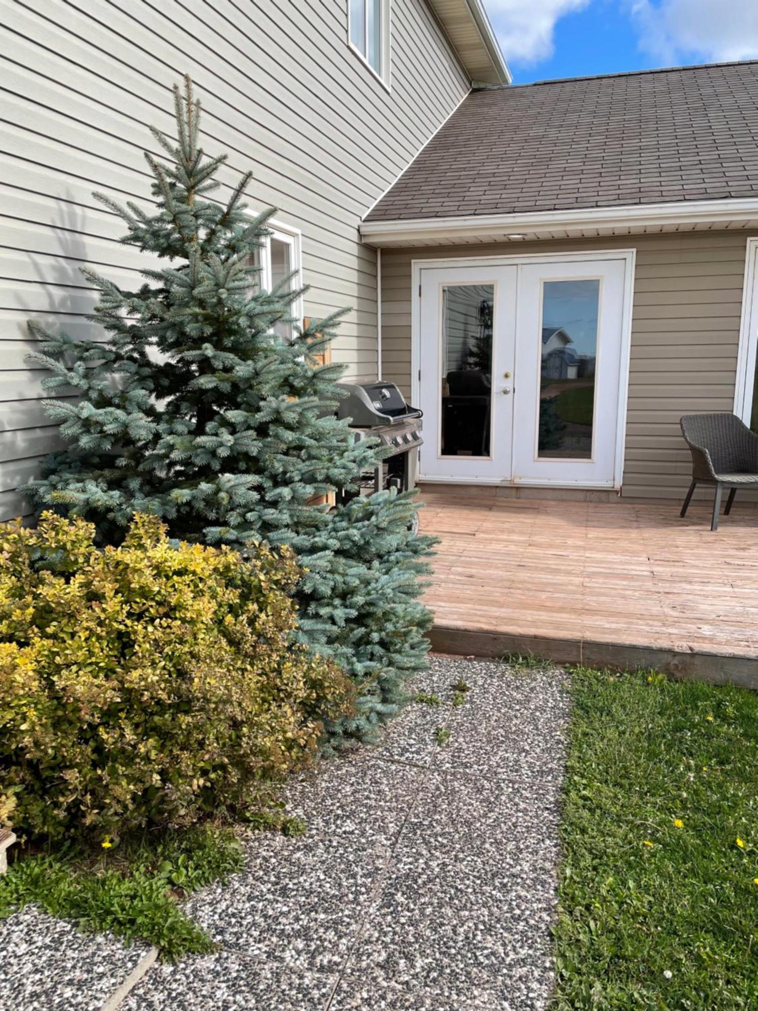 Pei Cottage Rental Borden-Carleton Dış mekan fotoğraf